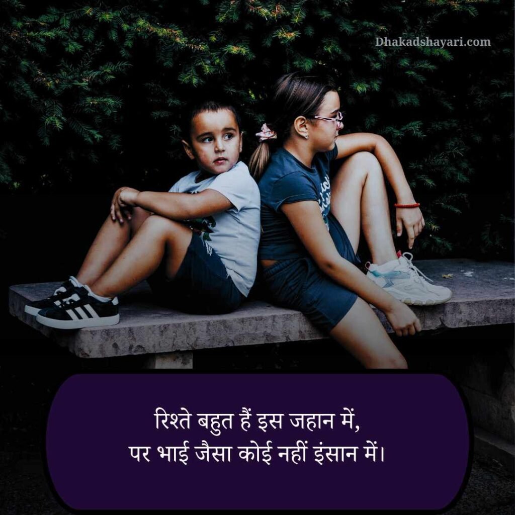Bhai Behan 2 Line Shayari