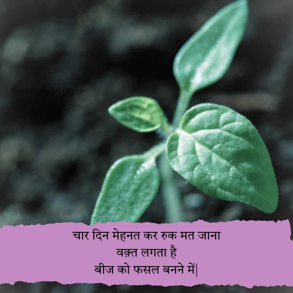 Mehnat Shayari 2 Line